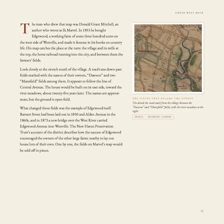 Text with a detail of the map showing the fields along the road.